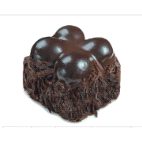 Dark Choco w/Profitrole